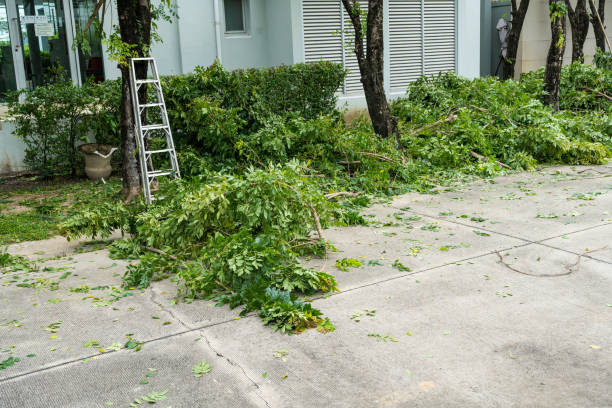 Best Utility Line Clearance  in St John, IN